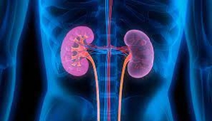 Chronic hypertension could be signs of kidney disease, physician warns