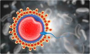 Study reveals COVID-19 could affect male fertility, confirms vaccines don’t affect fertility